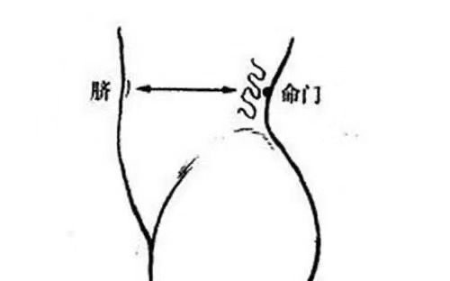 自己怎么找命门穴