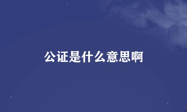 公证是什么意思啊