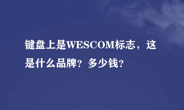 键盘上是WESCOM标志，这是什么品牌？多少钱？