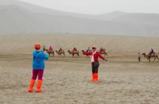 夕阳红专列旅游老人累不累