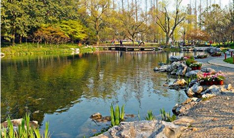 太子湾公园要怎么预约？