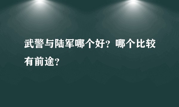 武警与陆军哪个好？哪个比较有前途？