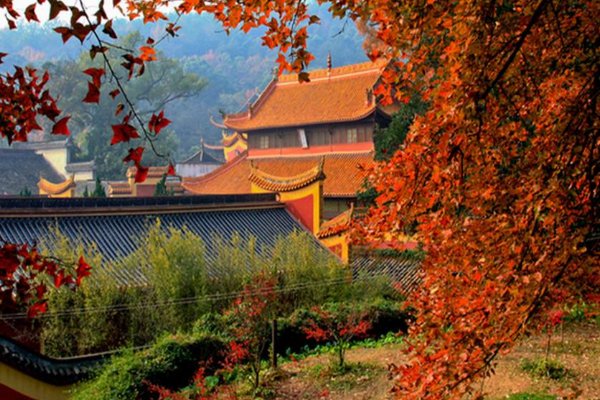 长沙一日游必去景点有哪些