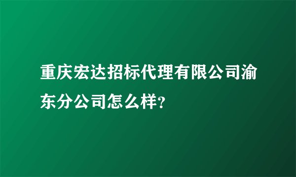 重庆宏达招标代理有限公司渝东分公司怎么样？