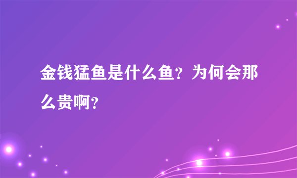 金钱猛鱼是什么鱼？为何会那么贵啊？