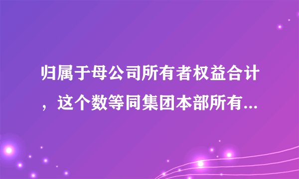 归属于母公司所有者权益合计，这个数等同集团本部所有者权益吗？？？
