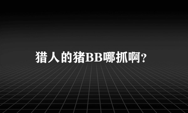 猎人的猪BB哪抓啊？