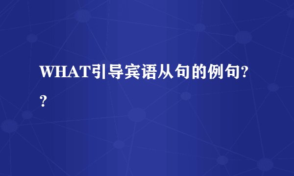 WHAT引导宾语从句的例句??