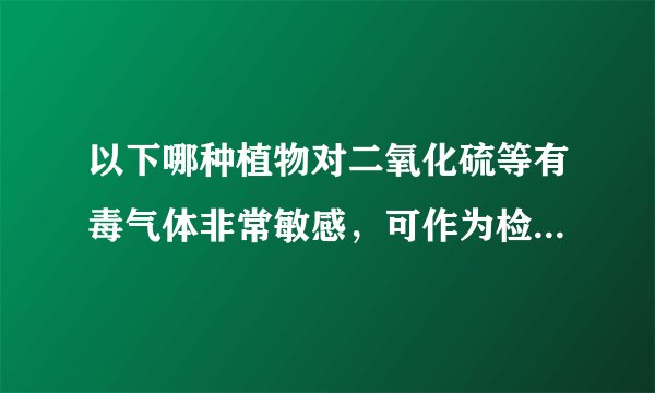 以下哪种植物对二氧化硫等有毒气体非常敏感，可作为检测空气污染的指示植物（　　）A．苔藓B．蕨类C．藻