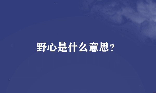 野心是什么意思?