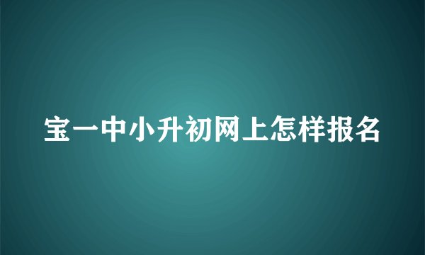 宝一中小升初网上怎样报名