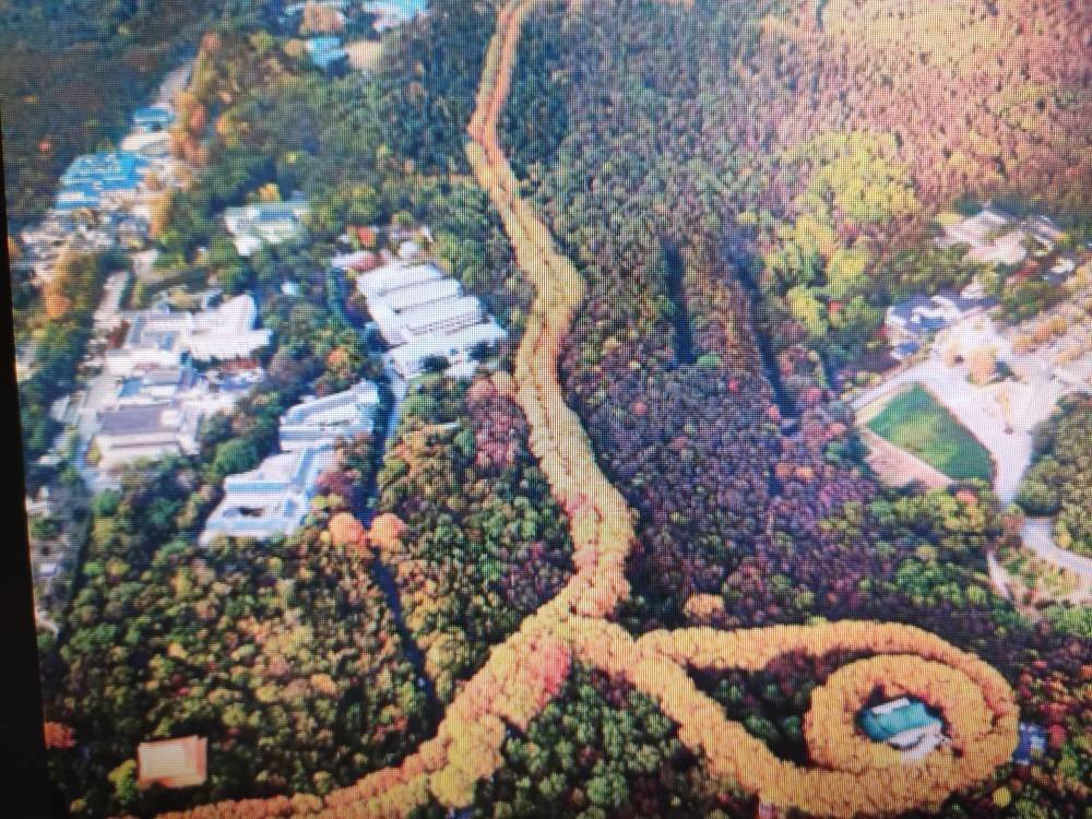 南京有哪些好玩的