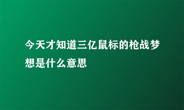 今天才知道三亿鼠标的枪战梦想是什么意思