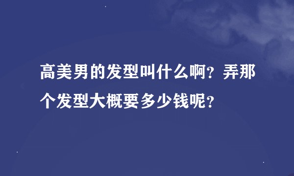高美男的发型叫什么啊?弄那个发型大概要多少钱呢?