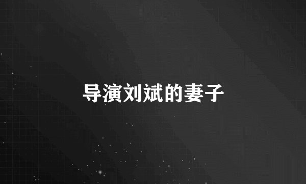 导演刘斌的妻子