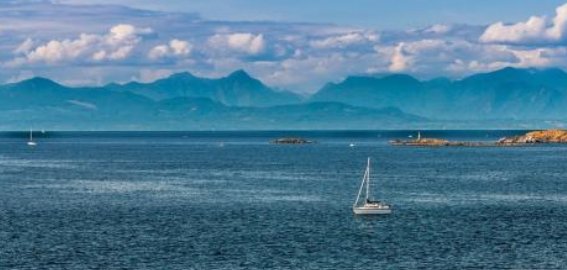 大洋彼岸的意思