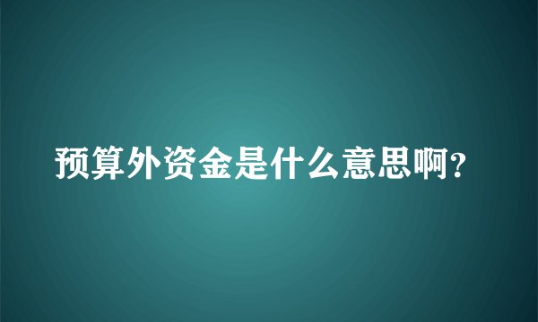 预算外资金是什么意思啊？