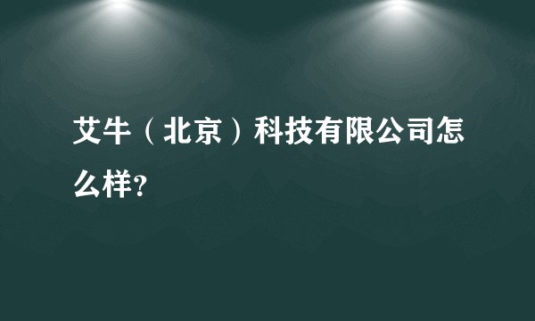 艾牛（北京）科技有限公司怎么样？