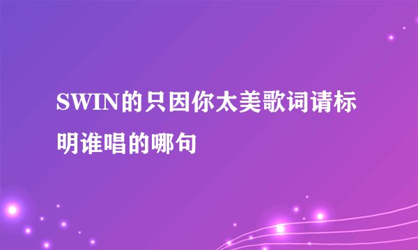 SWIN的只因你太美歌词请标明谁唱的哪句