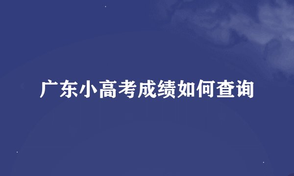 广东小高考成绩如何查询