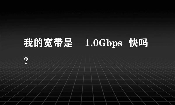 我的宽带是    1.0Gbps  快吗？
