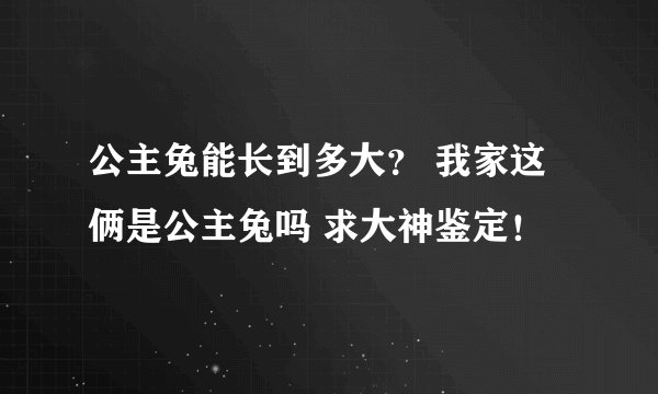 公主兔能长到多大？ 我家这俩是公主兔吗 求大神鉴定！