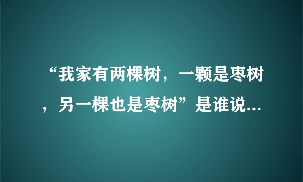 “我家有两棵树，一颗是枣树，另一棵也是枣树”是谁说的？什么意思？