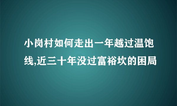小岗村如何走出一年越过温饱线,近三十年没过富裕坎的困局