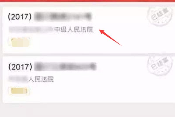 中国审判流程信息公开网案件查询?