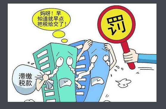 国家法定滞纳金百分比是多少呀?