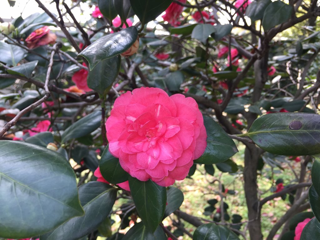 参公事业单位和普通事业单位有啥性质区别？