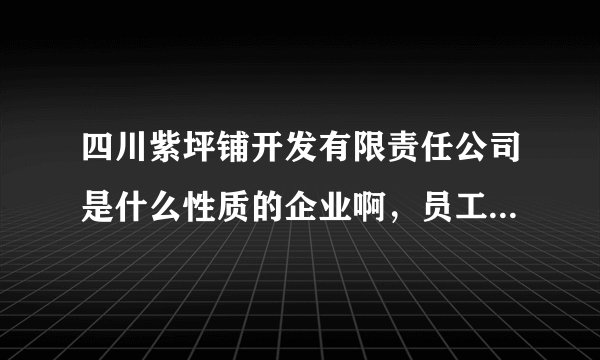 四川紫坪铺开发有限责任公司是什么性质的企业啊，员工待遇咋样？