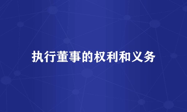 执行董事的权利和义务