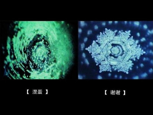 江本胜博士的水结晶试验是真的么？