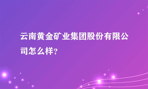 云南黄金矿业集团股份有限公司怎么样？