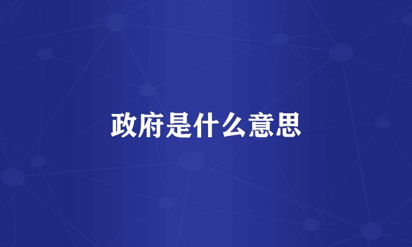 政府是什么意思