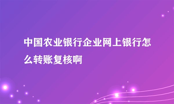 中国农业银行企业网上银行怎么转账复核啊