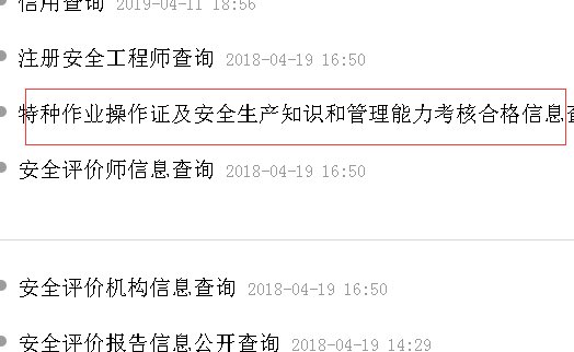国家安监局电工证查询官网