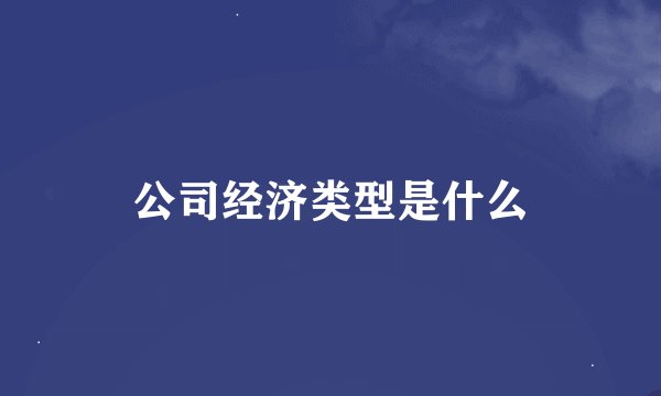 公司经济类型是什么