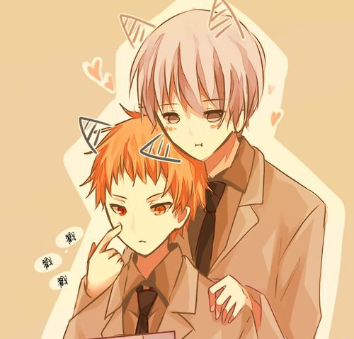 鲤鱼乡是什么样的小说网站?