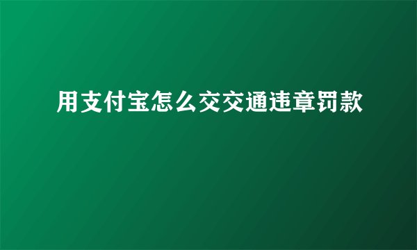用支付宝怎么交交通违章罚款