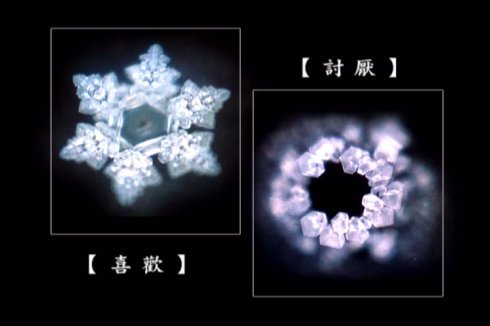 江本胜博士的水结晶试验是真的么？