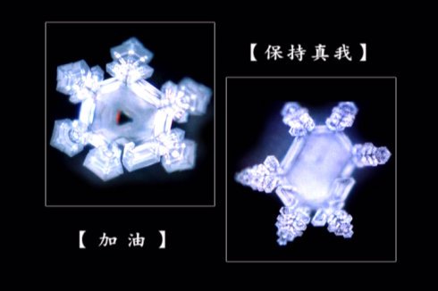 江本胜博士的水结晶试验是真的么？