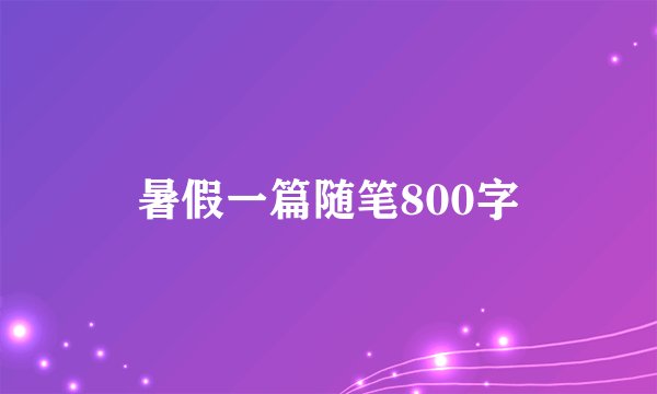 暑假一篇随笔800字