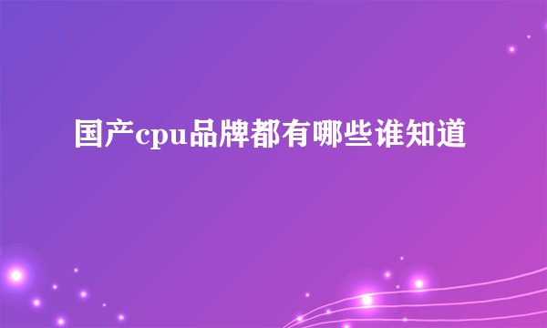 国产cpu品牌都有哪些谁知道
