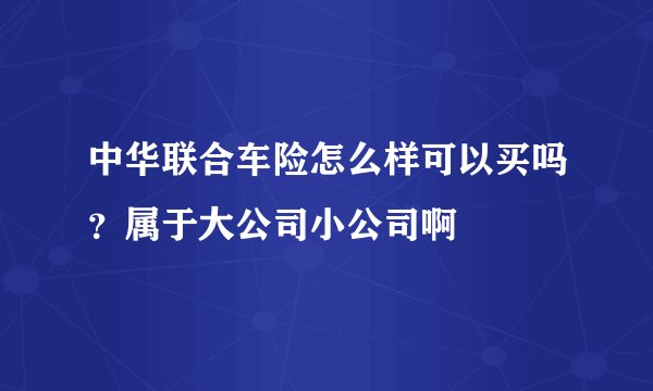 中华联合车险怎么样可以买吗？属于大公司小公司啊