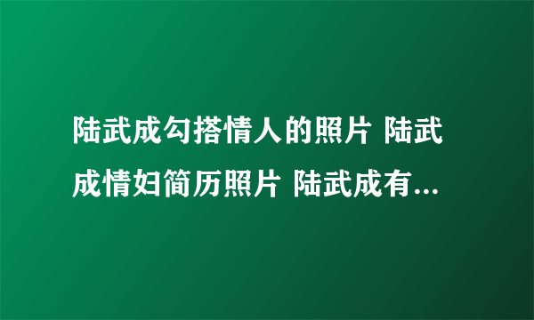陆武成勾搭情人的照片 陆武成情妇简历照片 陆武成有几个情人