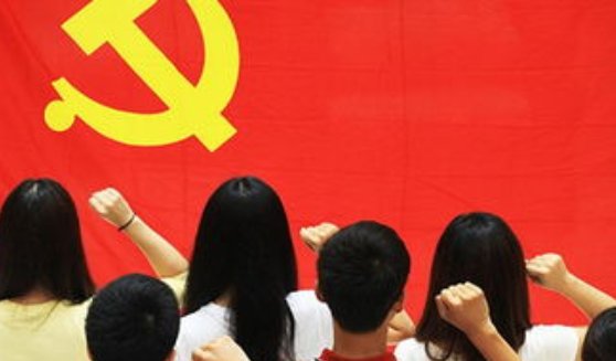 党的基础组织是什么