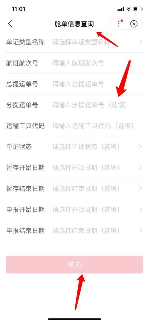 如何进行舱单信息查询
