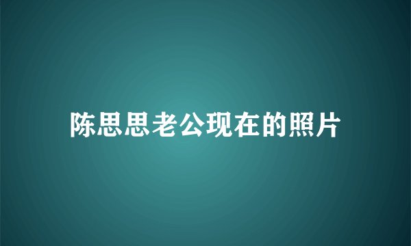 陈思思老公现在的照片